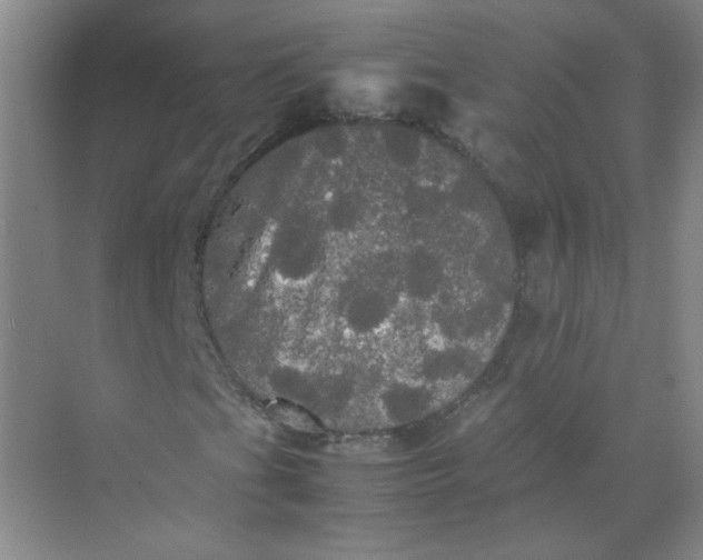 X0000070251201200606161903