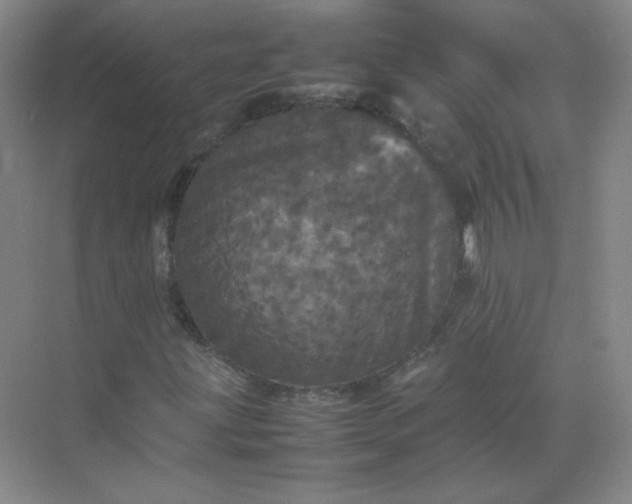 X0000070251203200606161903
