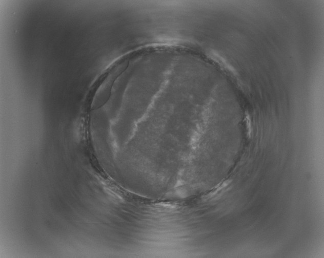 X0000070251208200606161903
