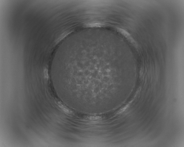 X0000070251209200606161903