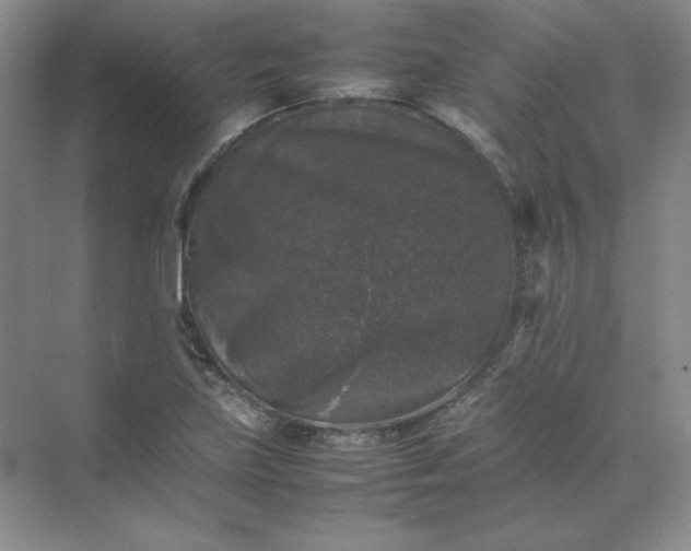 X0000070251219200606161903
