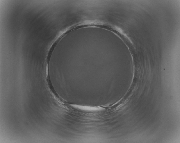 X0000070251221200606161903