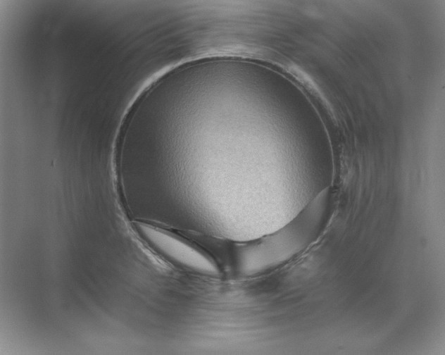 X0000070251230200606161903