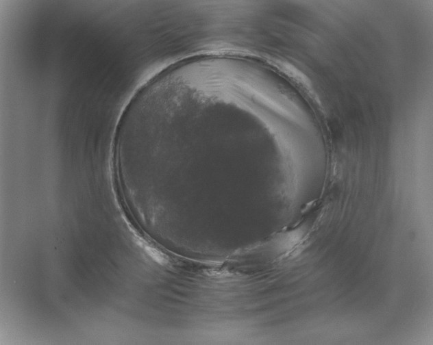 X0000070251231200606161903