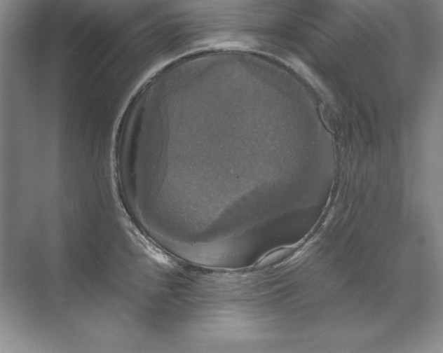X0000070251240200606161903
