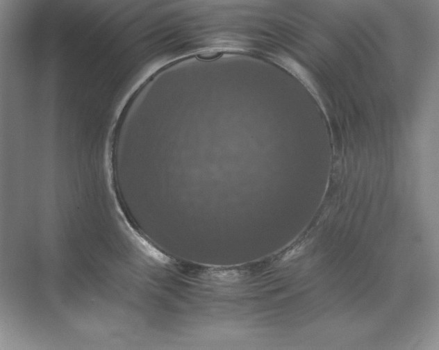 X0000070251243200606161903