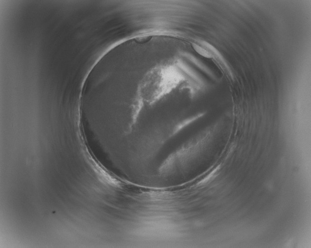 X0000070251244200606161903