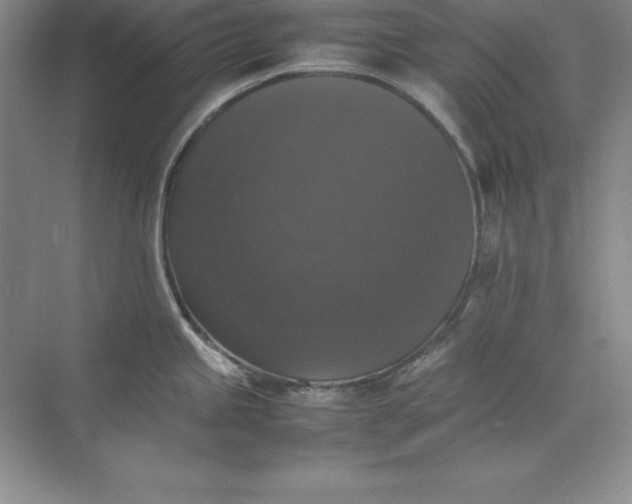 X0000070251245200606161903