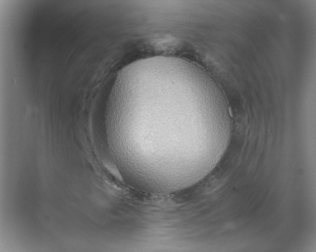 X0000070251249200606161903