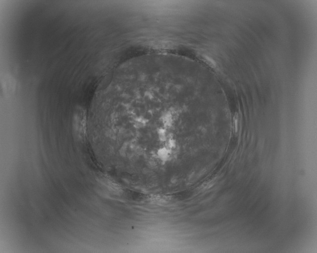 X0000070251251200606161903