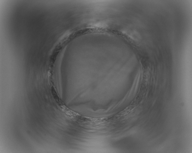 X0000070251254200606161903