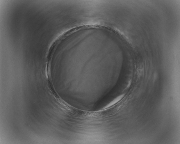 X0000070251262200606161902