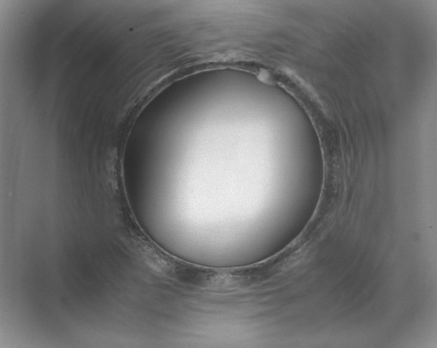 X0000070251265200606161902