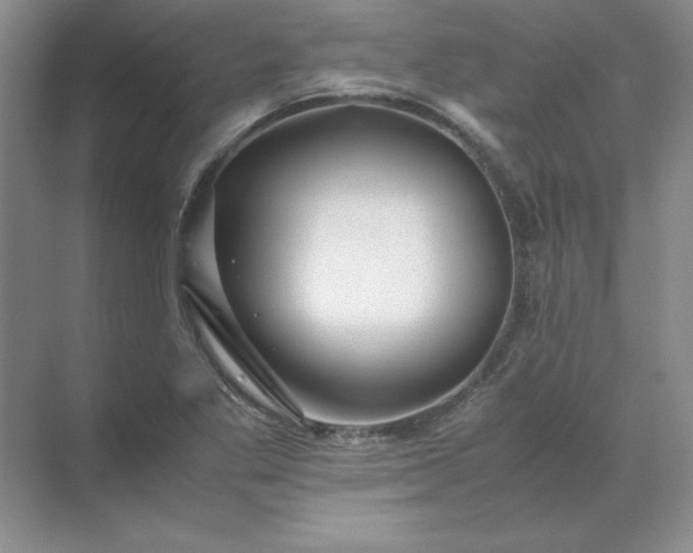 X0000070251269200606161902