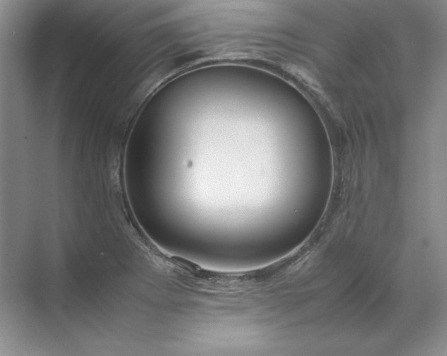 X0000070251273200606161902