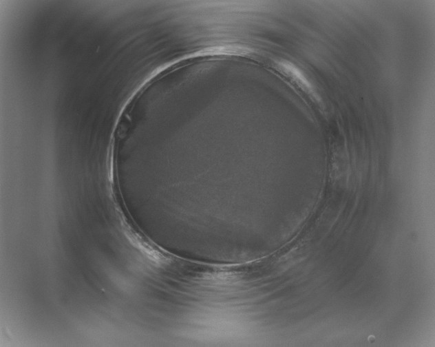 X0000070251276200606161902
