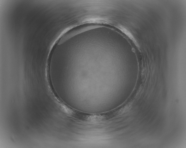 X0000070251277200606161902