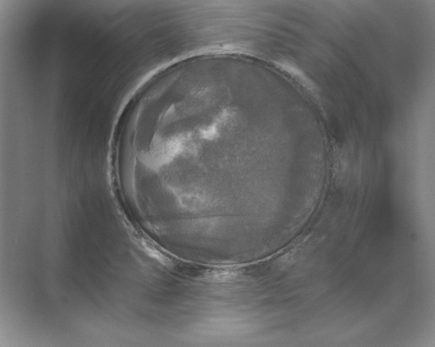 X0000070251278200606161902