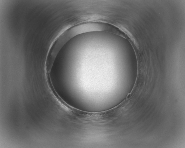 X0000070251285200606161902