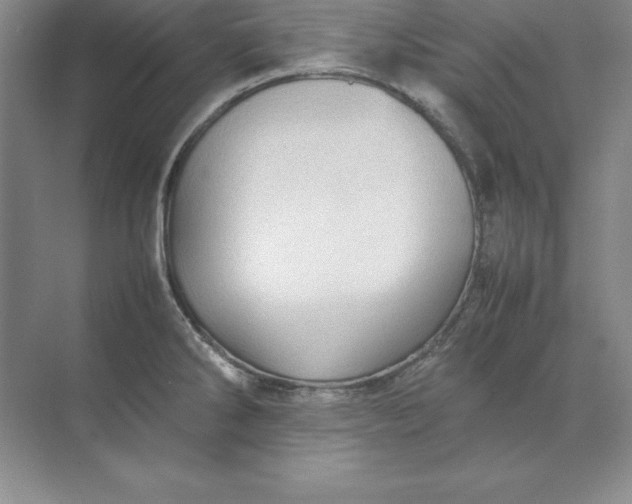 X0000070251286200606161902