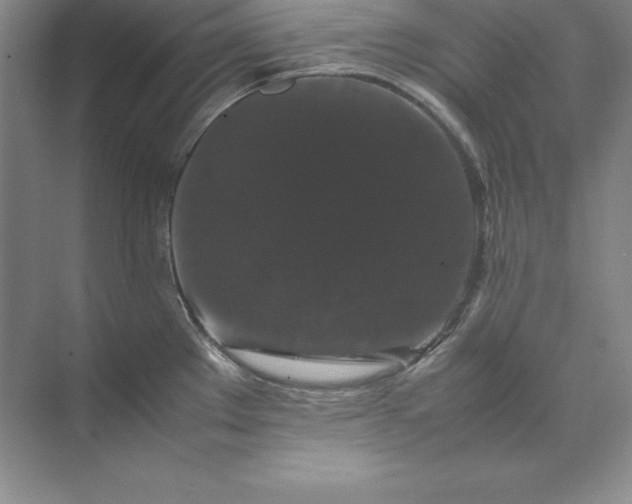 X0000070251289200606161902