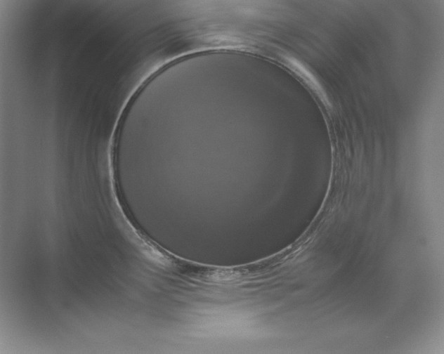 X0000070251291200606161902