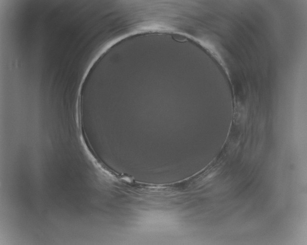 X0000070251295200606161902