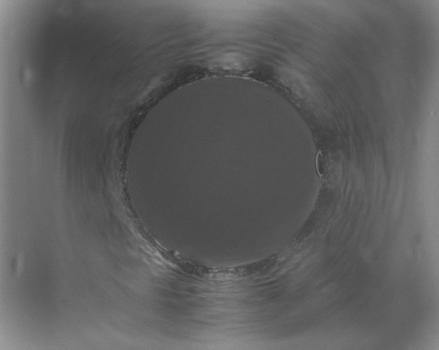 X0000070251297200606161901