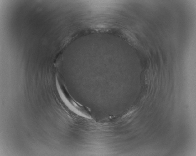 X0000070251298200606161901