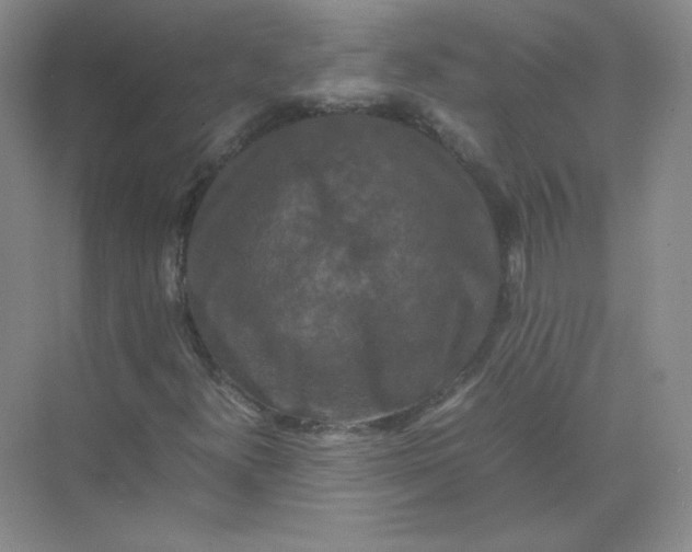 X0000070251300200606161901