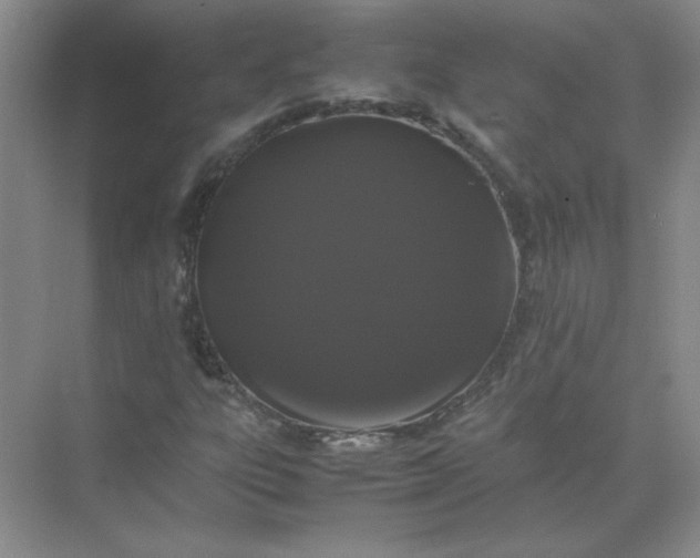 X0000070251303200606161901