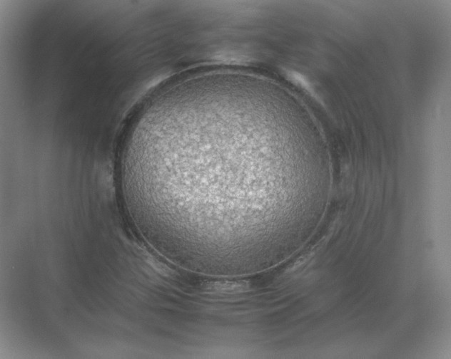 X0000070251307200606161901