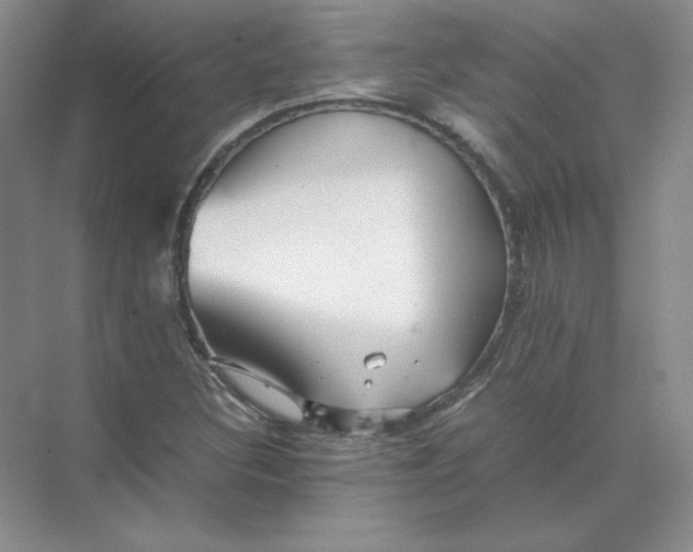 X0000070251308200606161901