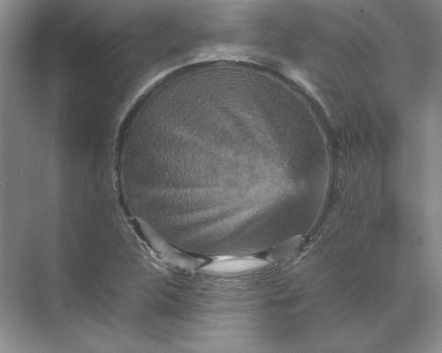 X0000070251312200606161901