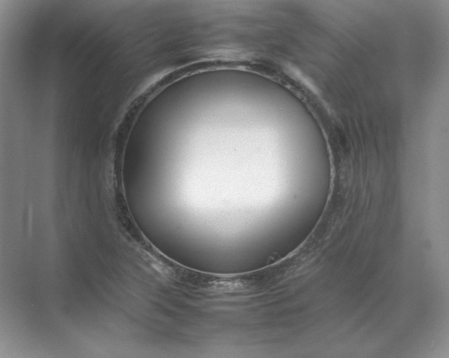 X0000070251315200606161901