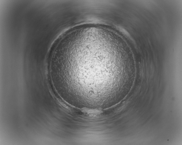 X0000070251318200606161901