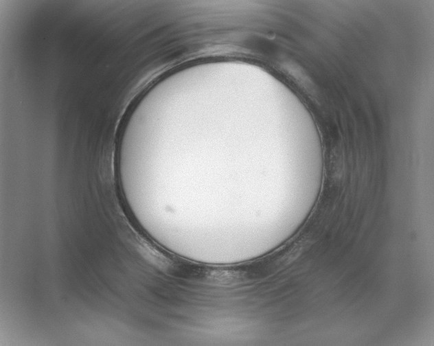 X0000070251322200606161902