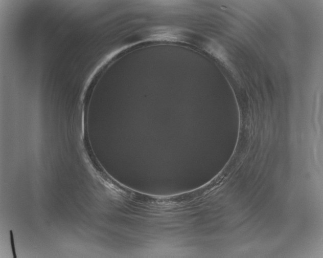 X0000070251323200606161902