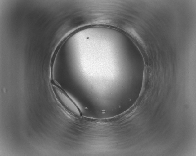 X0000070251324200606161902