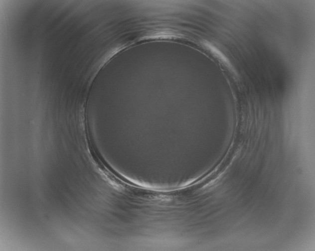 X0000070251329200606161902