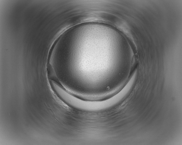 X0000070251330200606161902