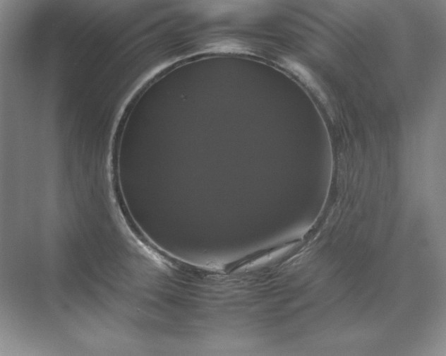 X0000070251331200606161902