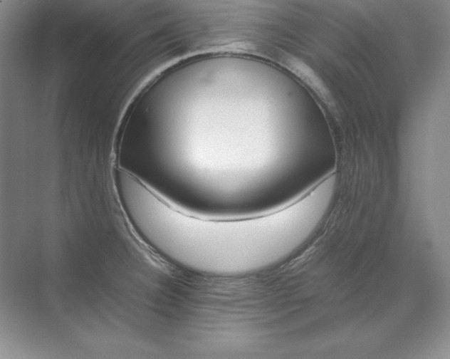 X0000070251332200606161902