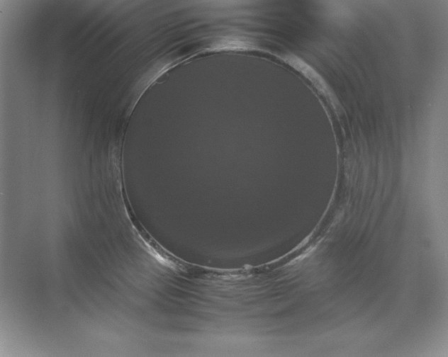 X0000070251337200606161902