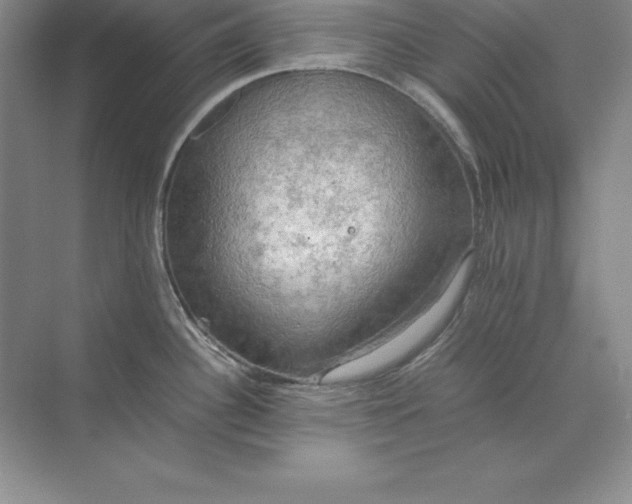 X0000070251340200606161902