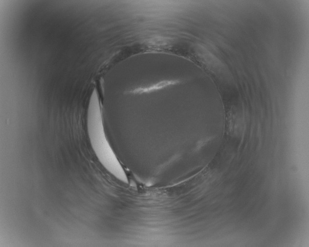 X0000070251346200606161901
