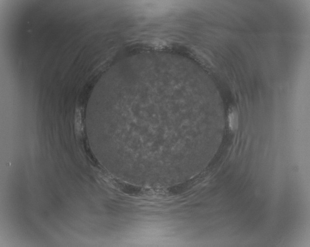 X0000070251347200606161901