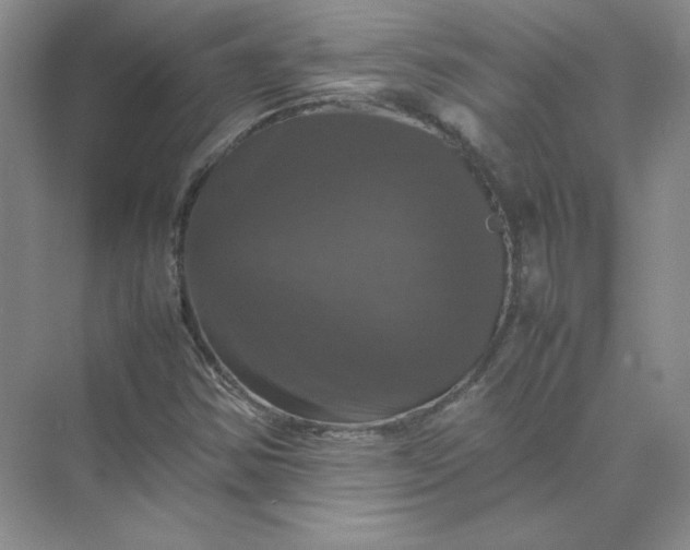 X0000070251354200606161901