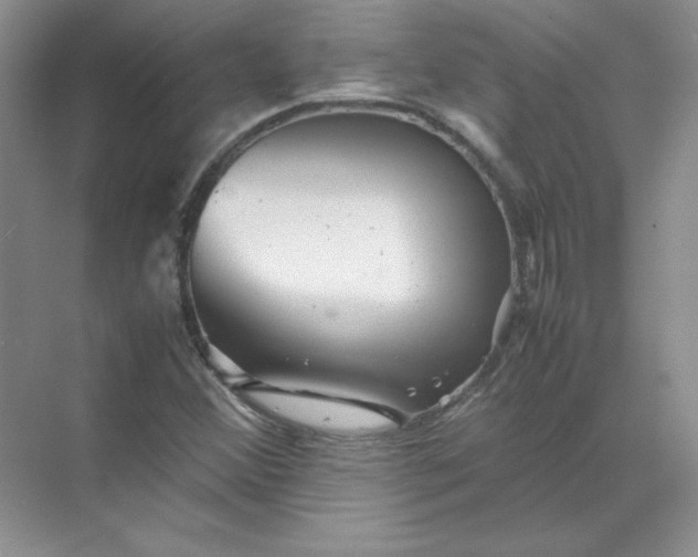 X0000070251356200606161901