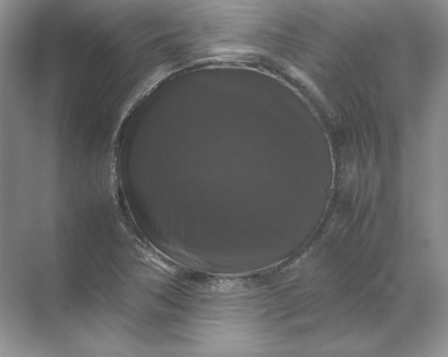 X0000070251362200606161901